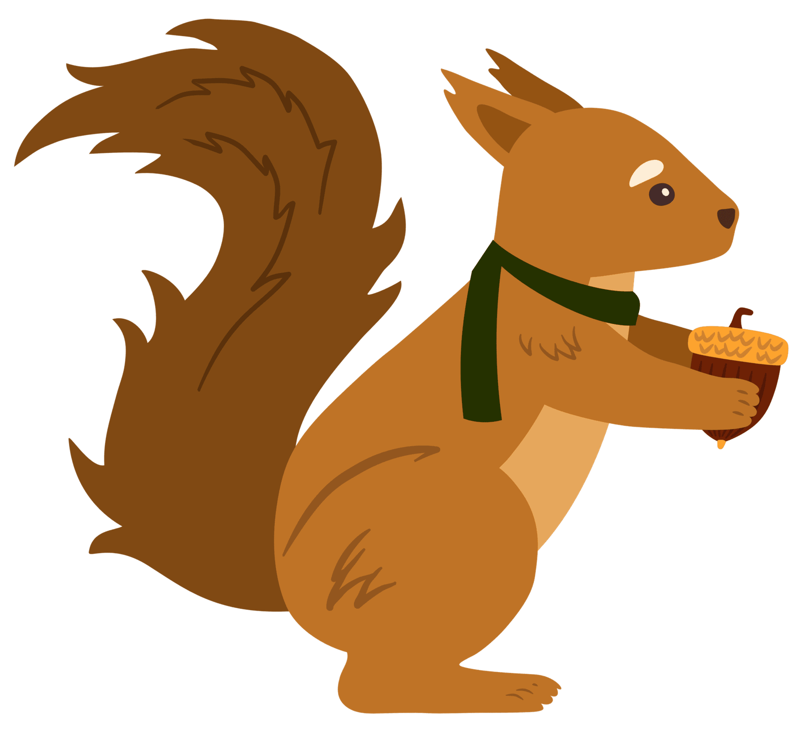 Squirrel