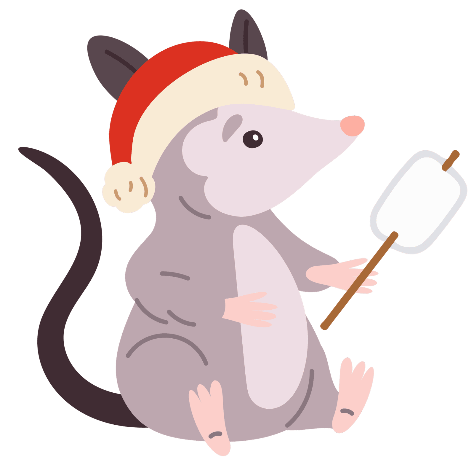 raton-005